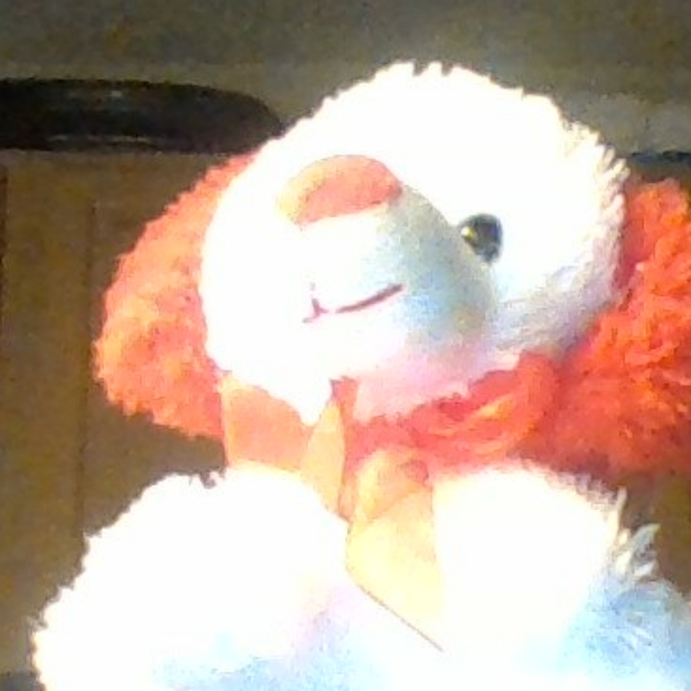 teddy bear